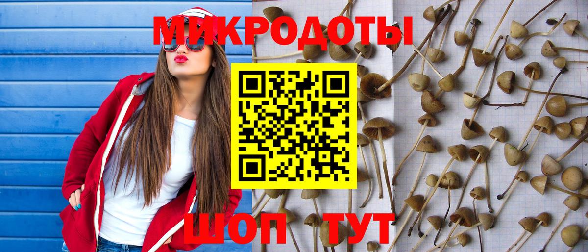 Галлюциногенные грибы MAGIC MUSHROOMS  Вход с VPN  что такое   Краснокаменск 